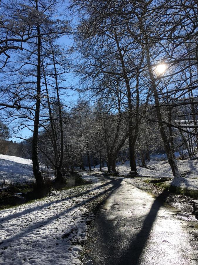 Charmant Appartement Sur Cour, Le Cerisier Bagnères-de-Bigorre Esterno foto