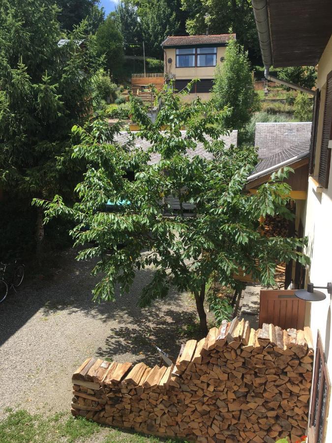 Charmant Appartement Sur Cour, Le Cerisier Bagnères-de-Bigorre Esterno foto